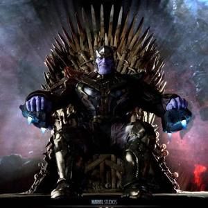 Meet your Posher, Mitzy